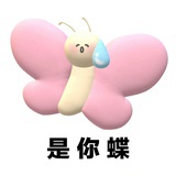 杨羊羊