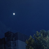 他怎么会