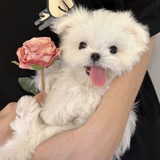 Ruinababy