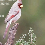 殷明亮