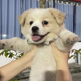 程潇小仙女