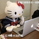 一只蛋挞在冲浪