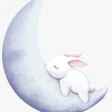 飞上月亮的兔子