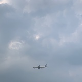 云与树