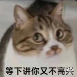 邦布布布