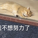 油炸绿番茄