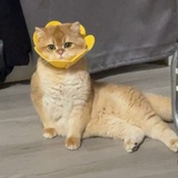 重开