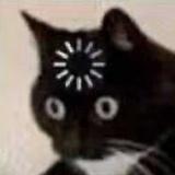 不叮布丁狗