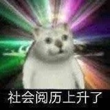 堃堃🦆