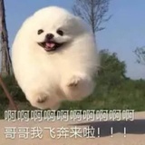 白白胖胖糯米糍