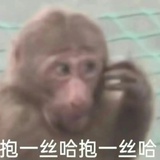 啊哈