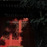 许林林