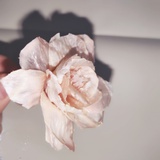 旷野上的小风车