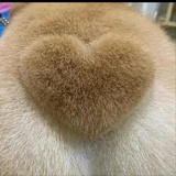 爱干啥干啥