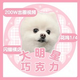 一叶(黑化版)