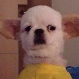 你