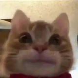 Sooo