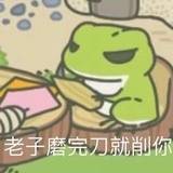爱的飞行日记