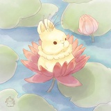 我是大人了