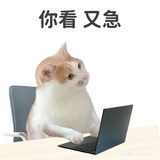 托尼妈妈