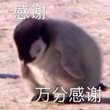 …