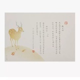 xiaorui