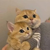 远远看着你