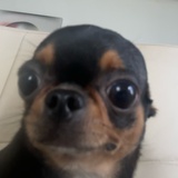社会你陆姐