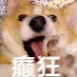 每天都要做任务