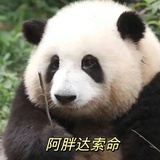 少吃点