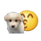 灯灯