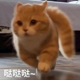 一定能逃出去的