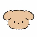 布利啾啾不紧张