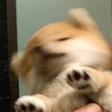 也要做题