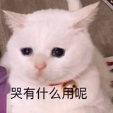 青丘小帝姬💠