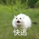 小白珠