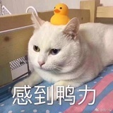 哈哈哈哈