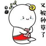 桨