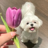 🎈