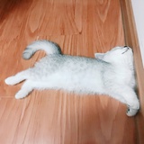 林深
