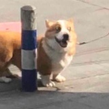 。