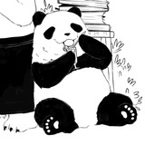 潘达pandas