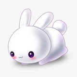 没点b数