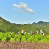 越过山丘