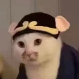 露露