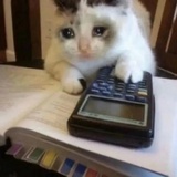 丸子子