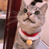 Victor
