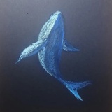 花木鲸鲸