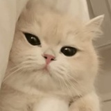 桑兰