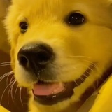 Yik-
